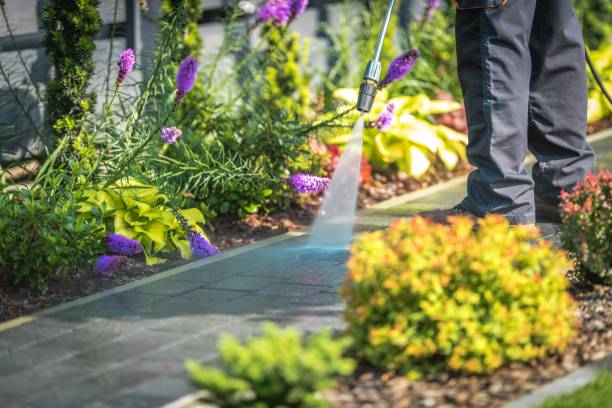 Best Patio and Deck Pressure Washing  in Somers, MT